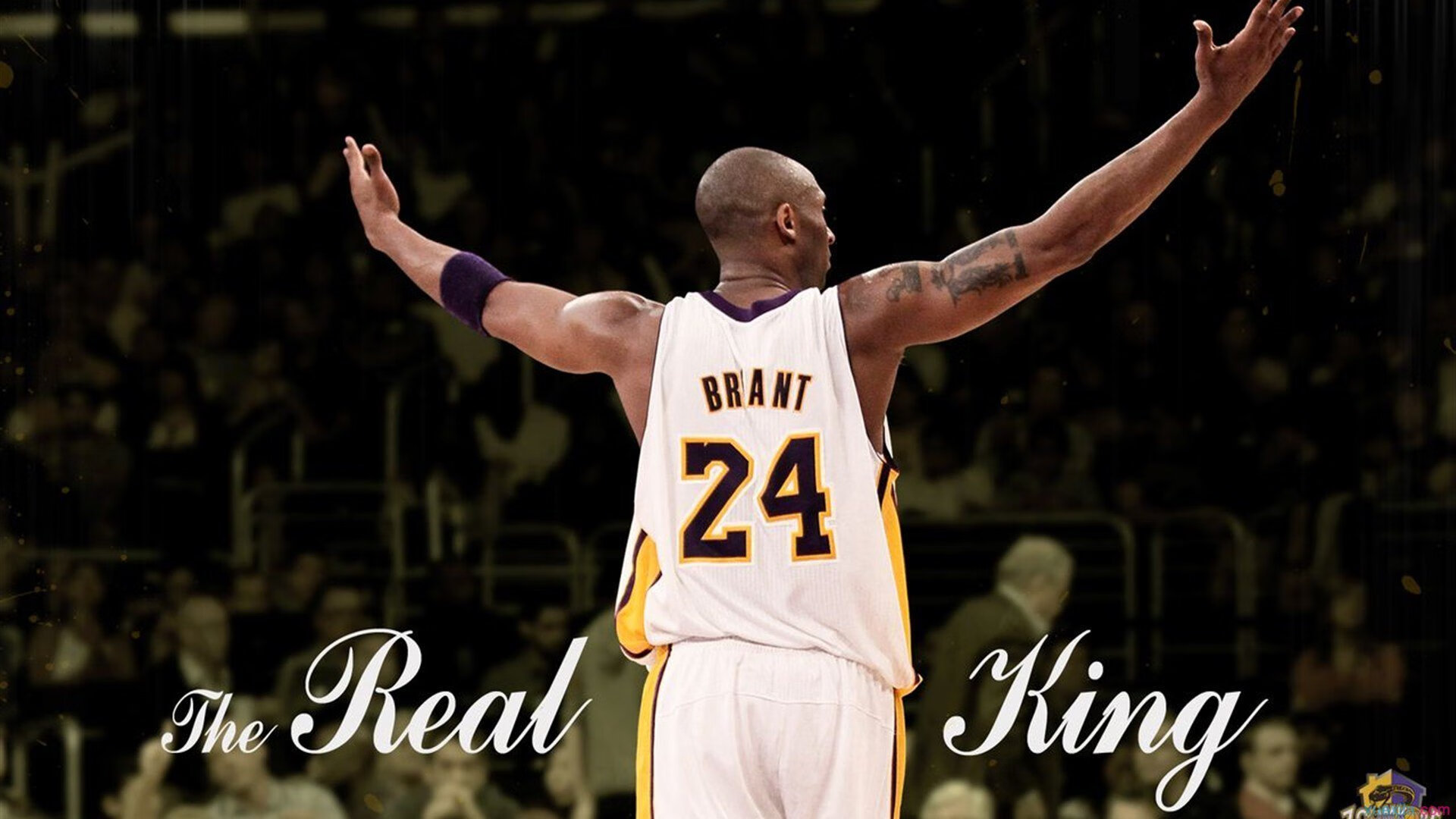 辛杜独木成林，印度队力克韩国队改写历史