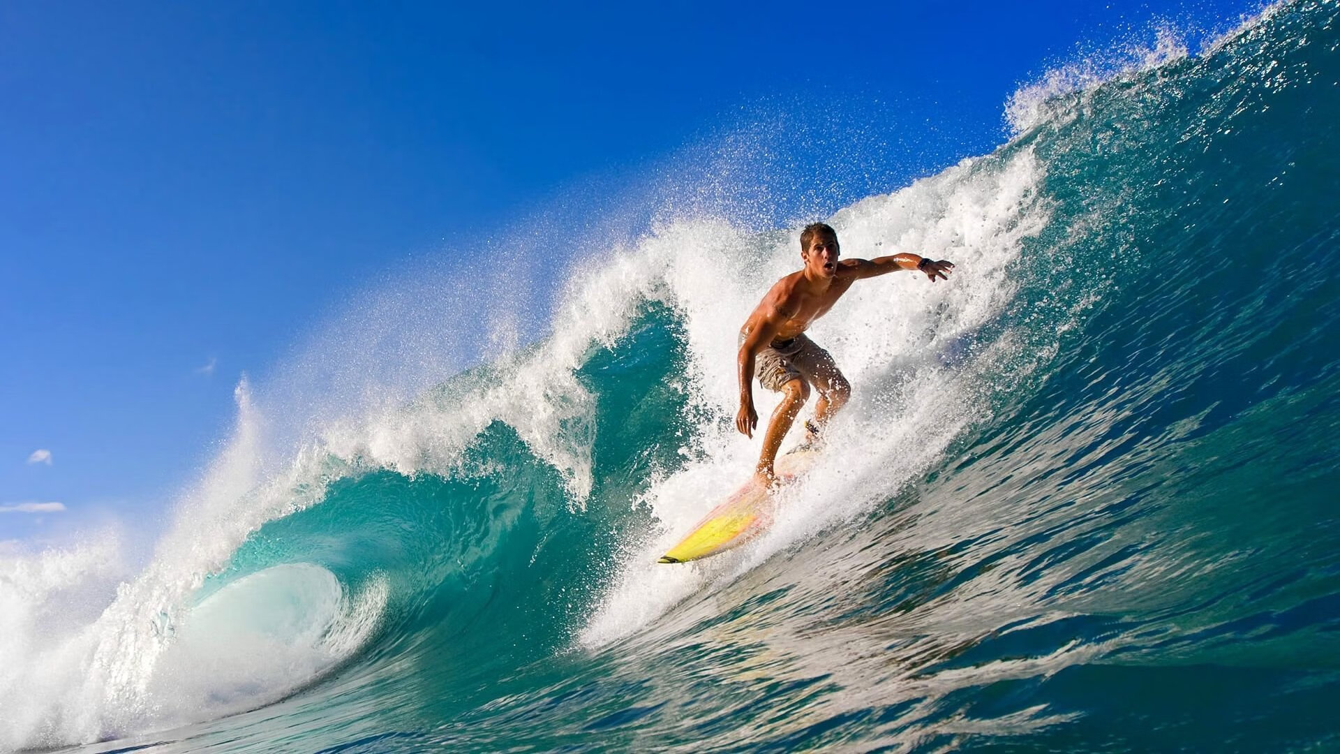 赛场双线告捷,法国队轻取波兰,许昕领衔团队展王者风范